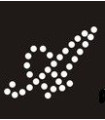 Transfer de Strass LETRAS 32mm - Varias opciones