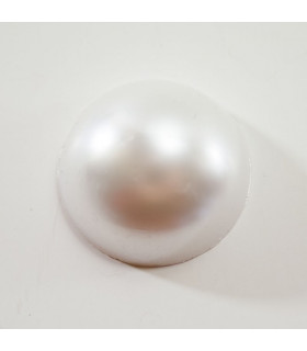 Perla blanca 