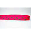Polo Ralph Lauren Fucsia/Verde 22mm
