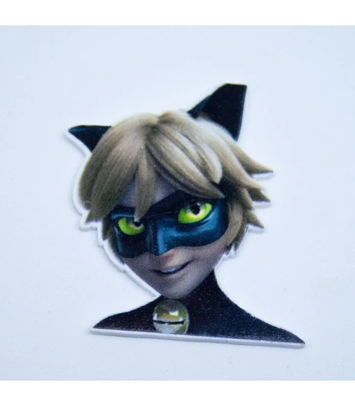 LADYBUG CAT NOIR 40*30MM