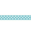 Grosgrain Lunares agua/blanco 9mm