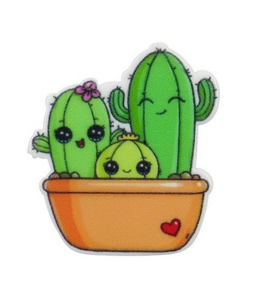 CACTUS 