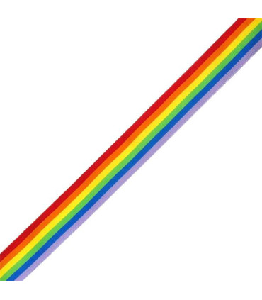 Cinta Bandera -  LGTBI 25mm